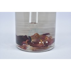 Fragancia relajante para tina de baño aroma de rosas Fragancia relajante para tina de baño aroma de rosas